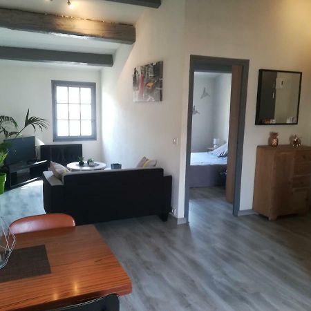 Appartement "Le Passage" 50 Passage De L'Ancien Courrier Ναρμπόν Εξωτερικό φωτογραφία