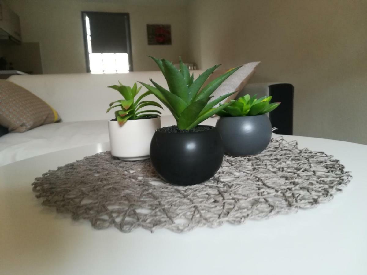 Appartement "Le Passage" 50 Passage De L'Ancien Courrier Ναρμπόν Εξωτερικό φωτογραφία